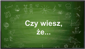 fiszki